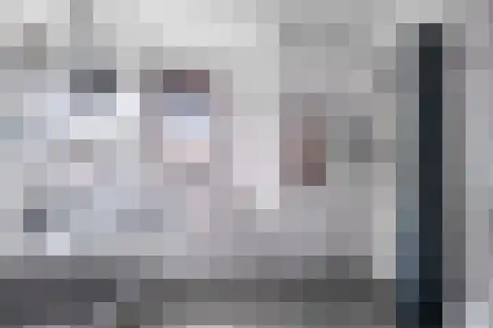 Zandbloem 149 Eindhoven thumbnail 5
