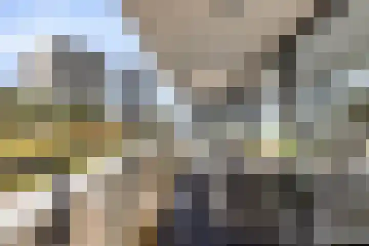 Zandbloem 149 Eindhoven thumbnail 6