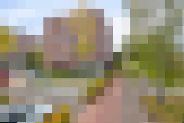 Zandbloem 149 Eindhoven thumbnail 7