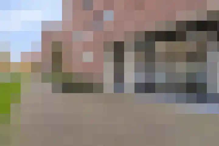 Zandbloem 149 Eindhoven thumbnail 8