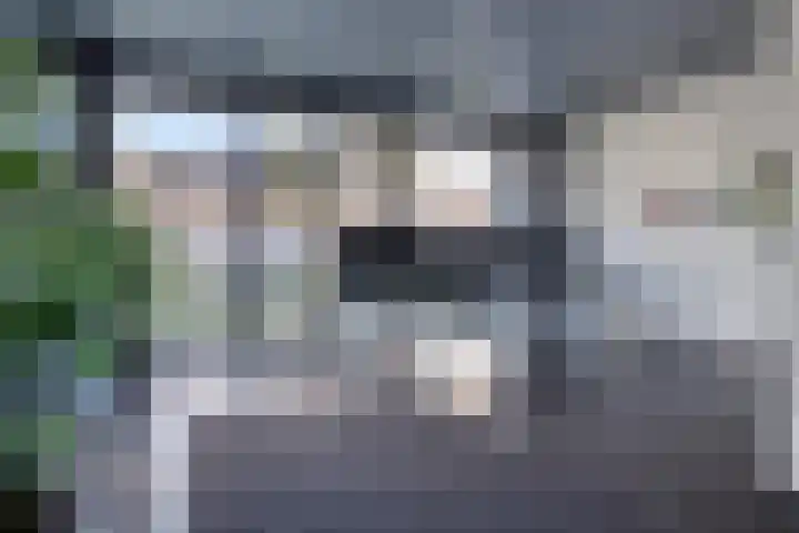 Zandbloem 149 Eindhoven thumbnail 9