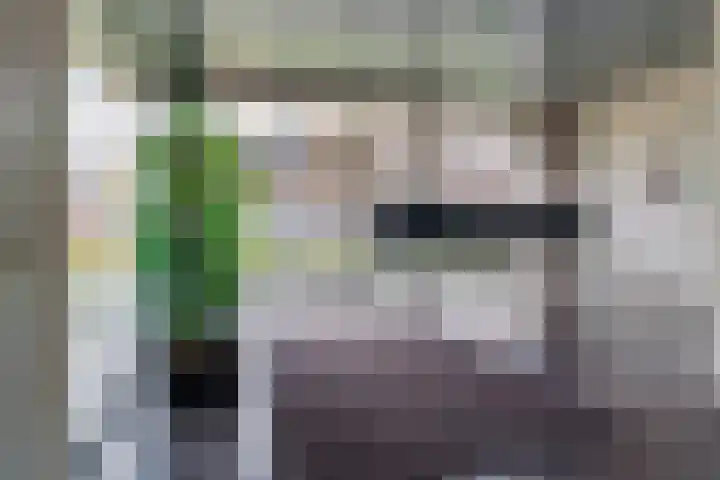 Zandbloem 165 Eindhoven thumbnail 10