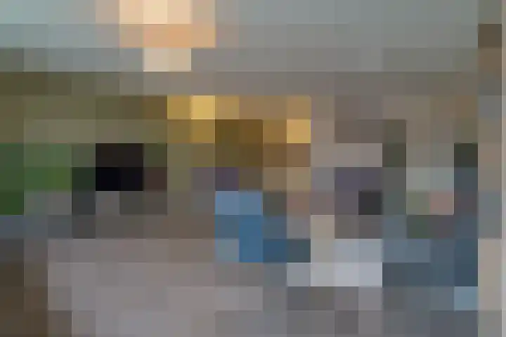 Zandbloem 165 Eindhoven thumbnail 28