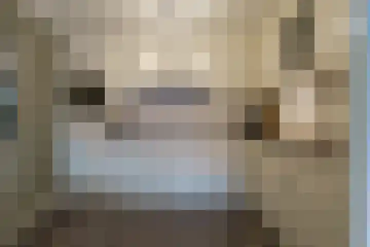 Zandbloem 165 Eindhoven thumbnail 33