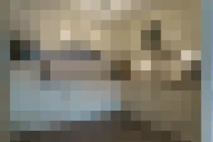 Zandbloem 165 Eindhoven thumbnail 34