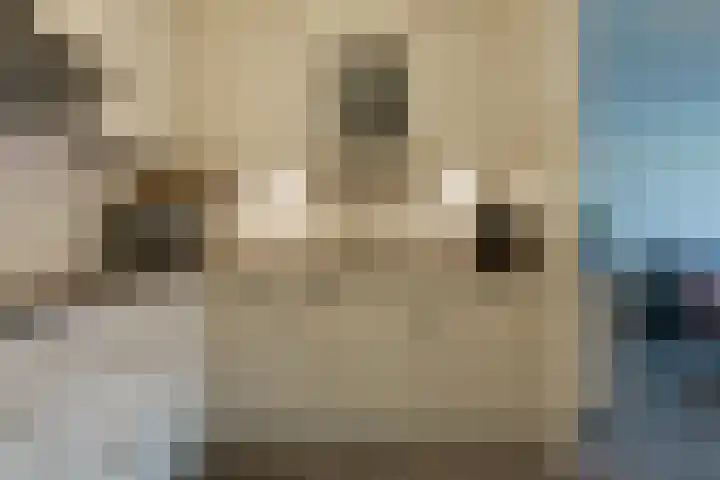 Zandbloem 165 Eindhoven thumbnail 35