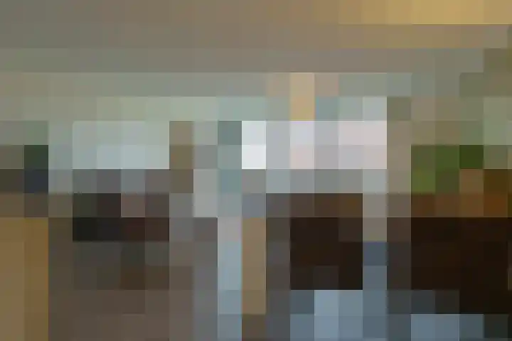 Zandbloem 165 Eindhoven thumbnail 36