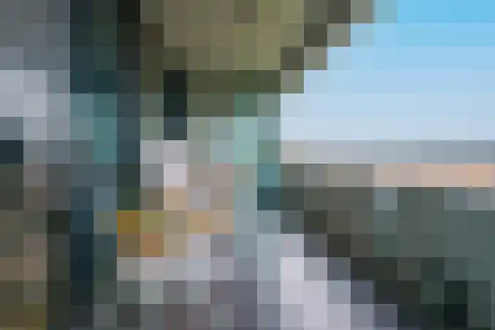 Zandbloem 165 Eindhoven thumbnail 37