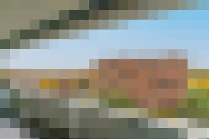 Zandbloem 165 Eindhoven thumbnail 38