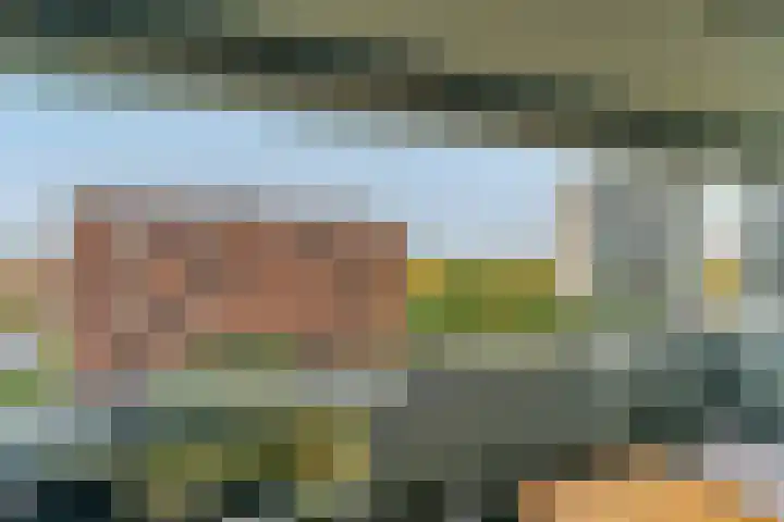 Zandbloem 165 Eindhoven thumbnail 39