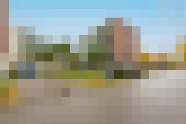 Zandbloem 165 Eindhoven thumbnail 5