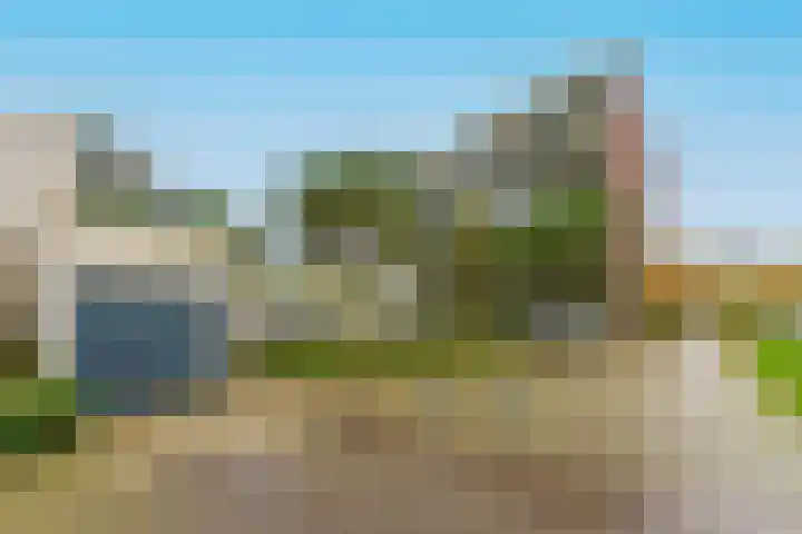 Zandbloem 165 Eindhoven thumbnail 6
