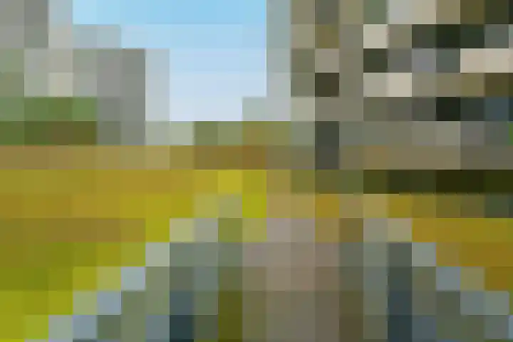 Zandbloem 165 Eindhoven thumbnail 7