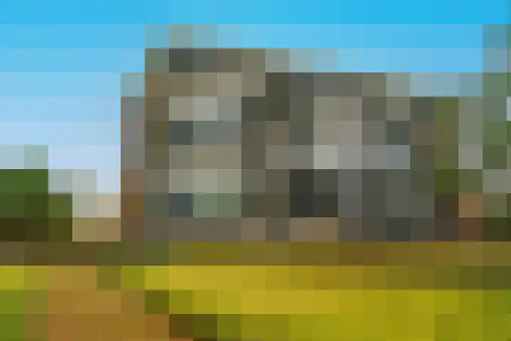 Zandbloem 165 Eindhoven thumbnail 8