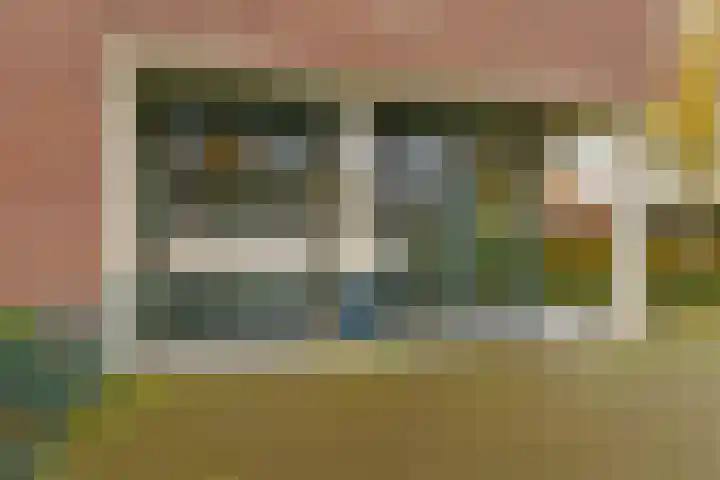 Zandbloem 165 Eindhoven thumbnail 9