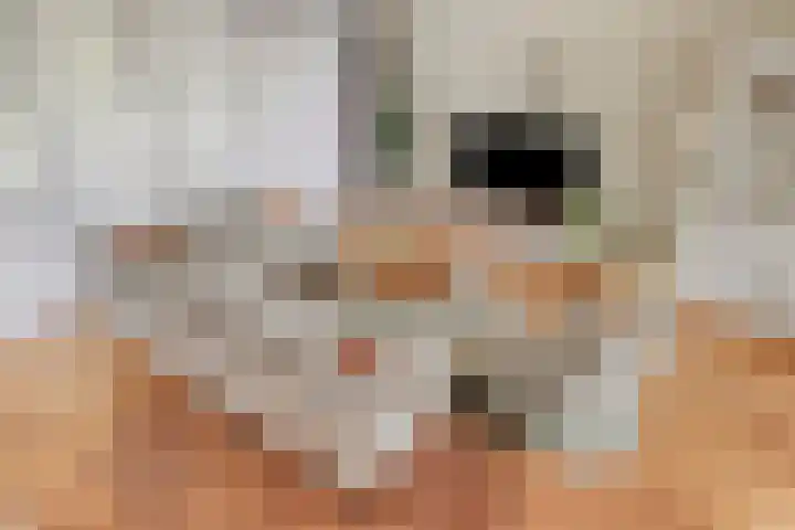 Zandbloem 20 Eindhoven thumbnail 13