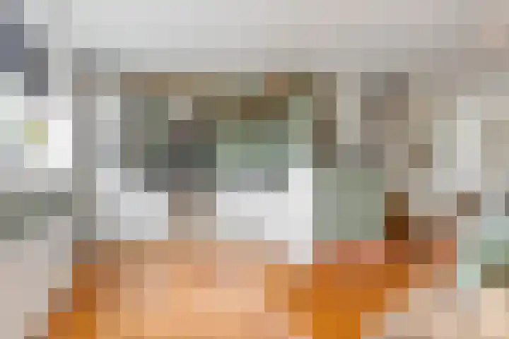 Zandbloem 20 Eindhoven thumbnail 17