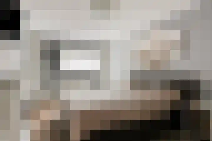 Zandbloem 20 Eindhoven thumbnail 24
