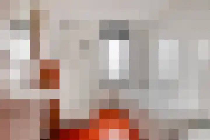 Zandbloem 20 Eindhoven thumbnail 28