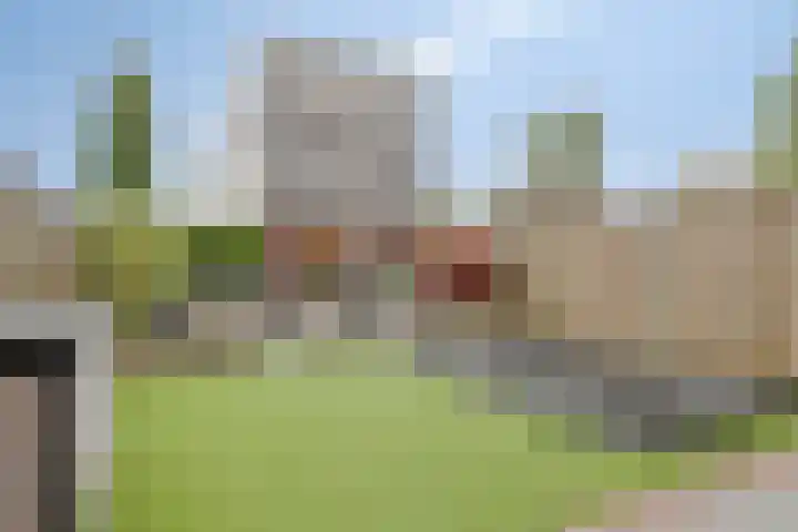 Zandbloem 20 Eindhoven thumbnail 33