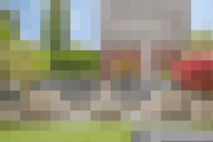 Zandbloem 20 Eindhoven thumbnail 34
