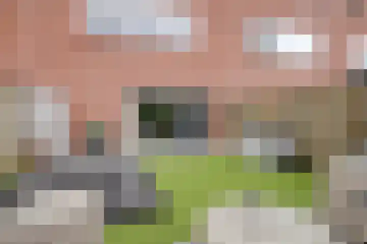 Zandbloem 20 Eindhoven thumbnail 35