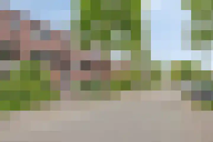 Zandbloem 20 Eindhoven thumbnail 5
