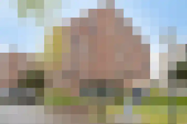 Zandbloem 55 Eindhoven