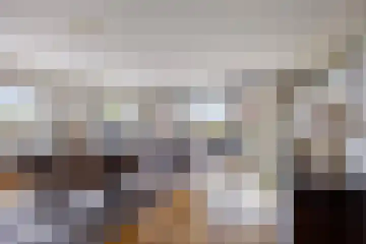 Zandbloem 55 Eindhoven thumbnail 11