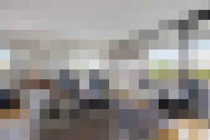 Zandbloem 55 Eindhoven thumbnail 12