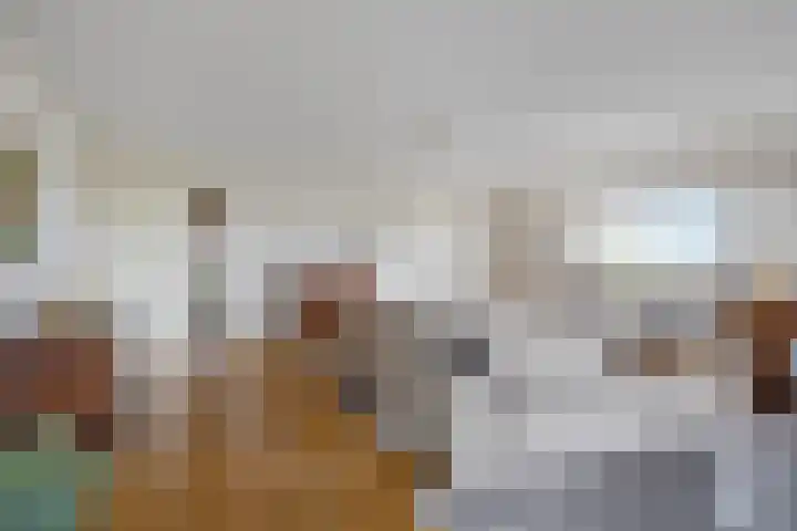 Zandbloem 55 Eindhoven thumbnail 17
