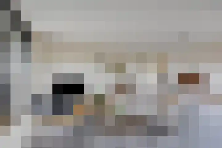 Zandbloem 55 Eindhoven thumbnail 18