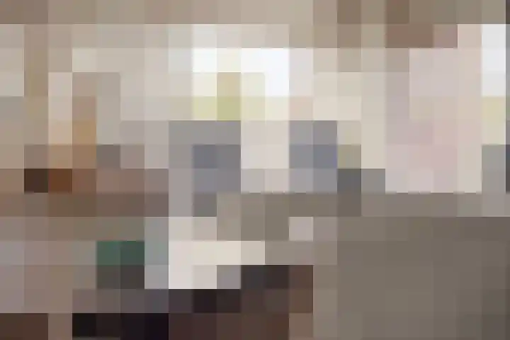 Zandbloem 55 Eindhoven thumbnail 20
