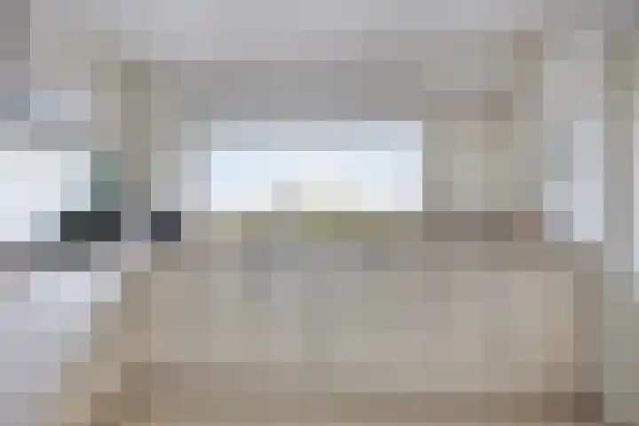 Zandbloem 55 Eindhoven thumbnail 23