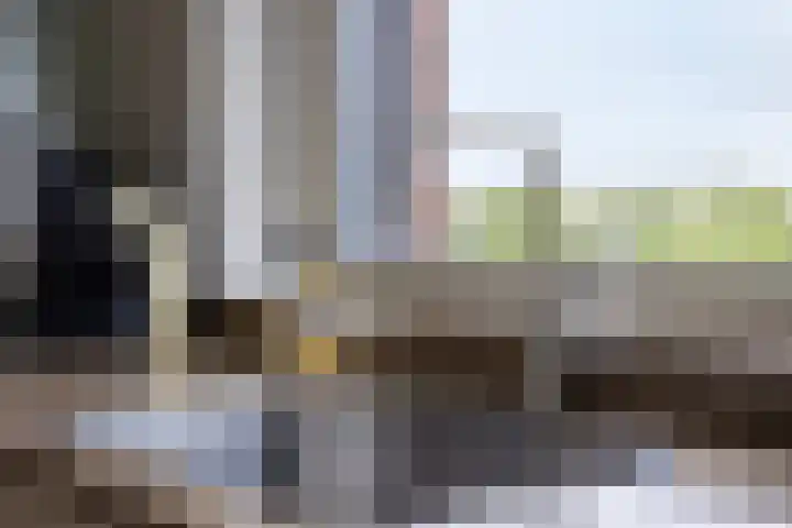 Zandbloem 55 Eindhoven thumbnail 24