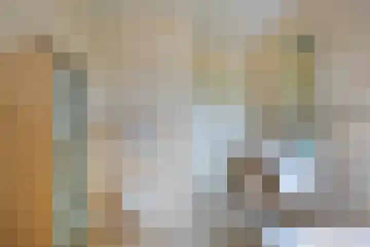 Zandbloem 55 Eindhoven thumbnail 30