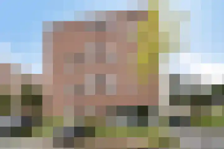 Zandbloem 55 Eindhoven thumbnail 34