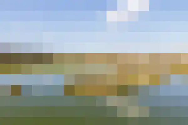 Zandbloem 55 Eindhoven thumbnail 35