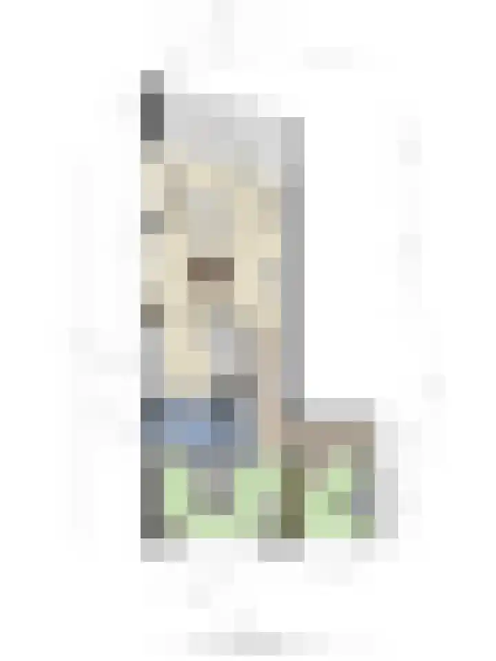 Zandbloem 55 Eindhoven thumbnail 37