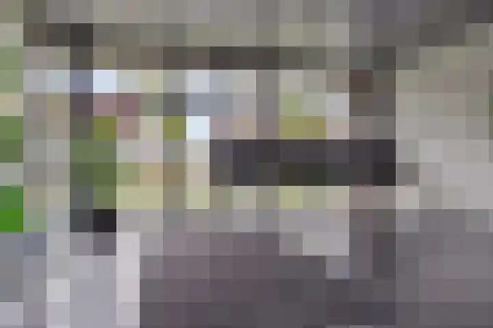 Zandbloem 55 Eindhoven thumbnail 6