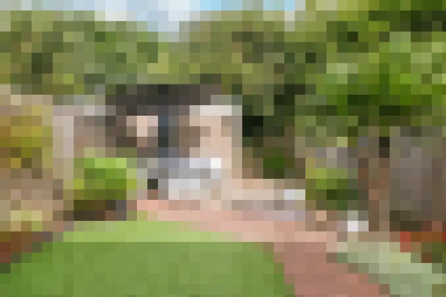 Zandbos 139 Hoofddorp thumbnail 17