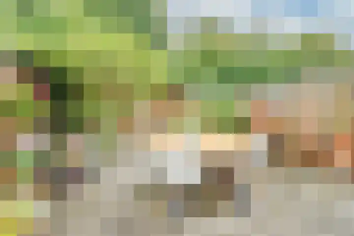 Zandbos 99 Hoofddorp thumbnail 37