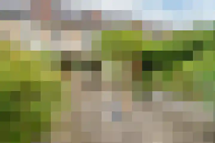 Zandbos 99 Hoofddorp thumbnail 40