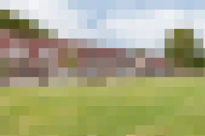 Zandbos 99 Hoofddorp thumbnail 42