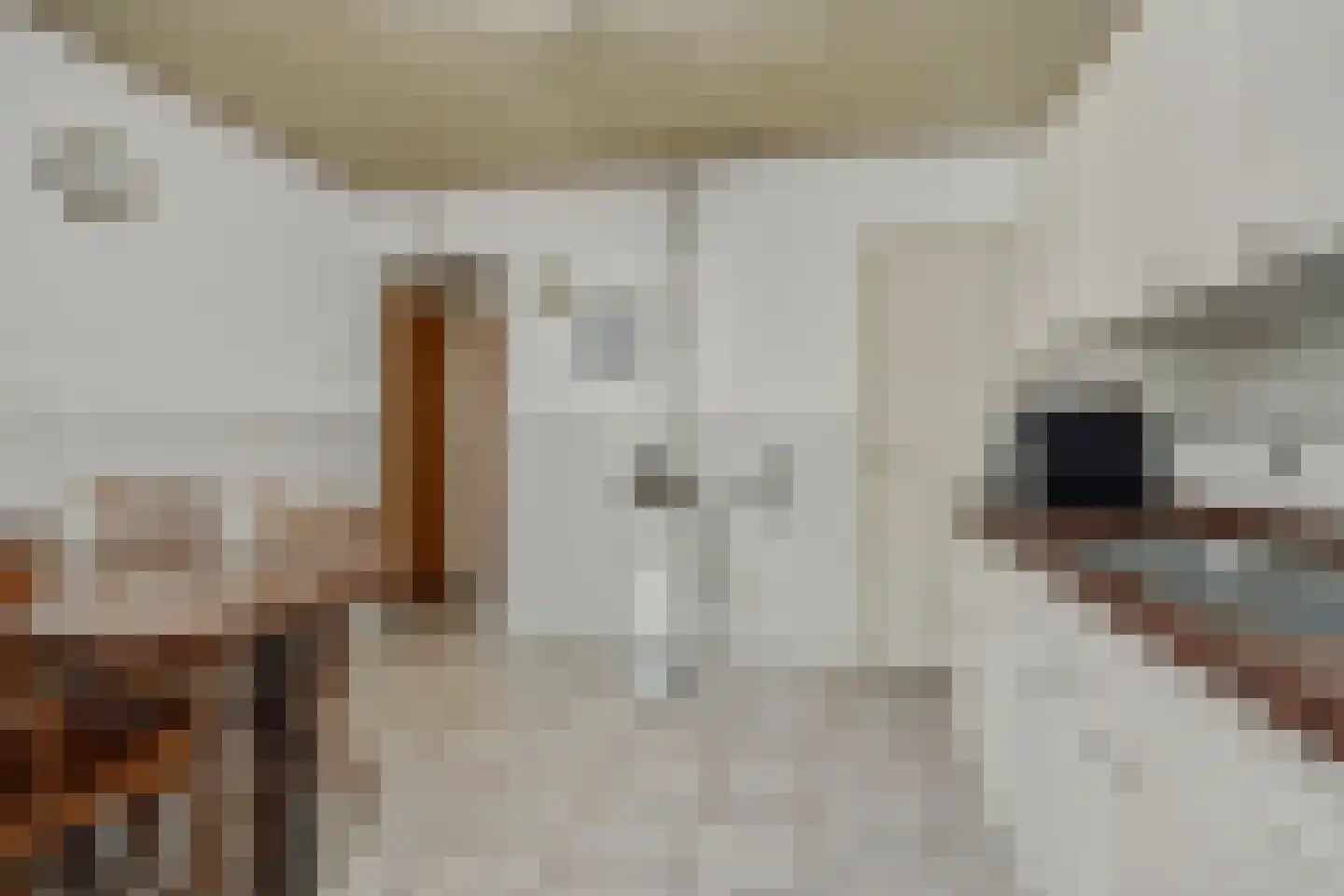 Zandbosweg 100 Deurne thumbnail 13