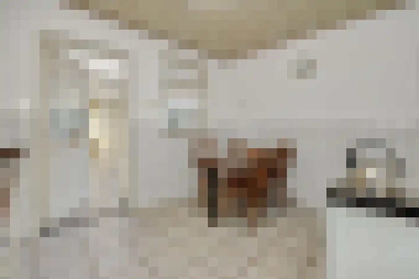 Zandbosweg 100 Deurne thumbnail 14