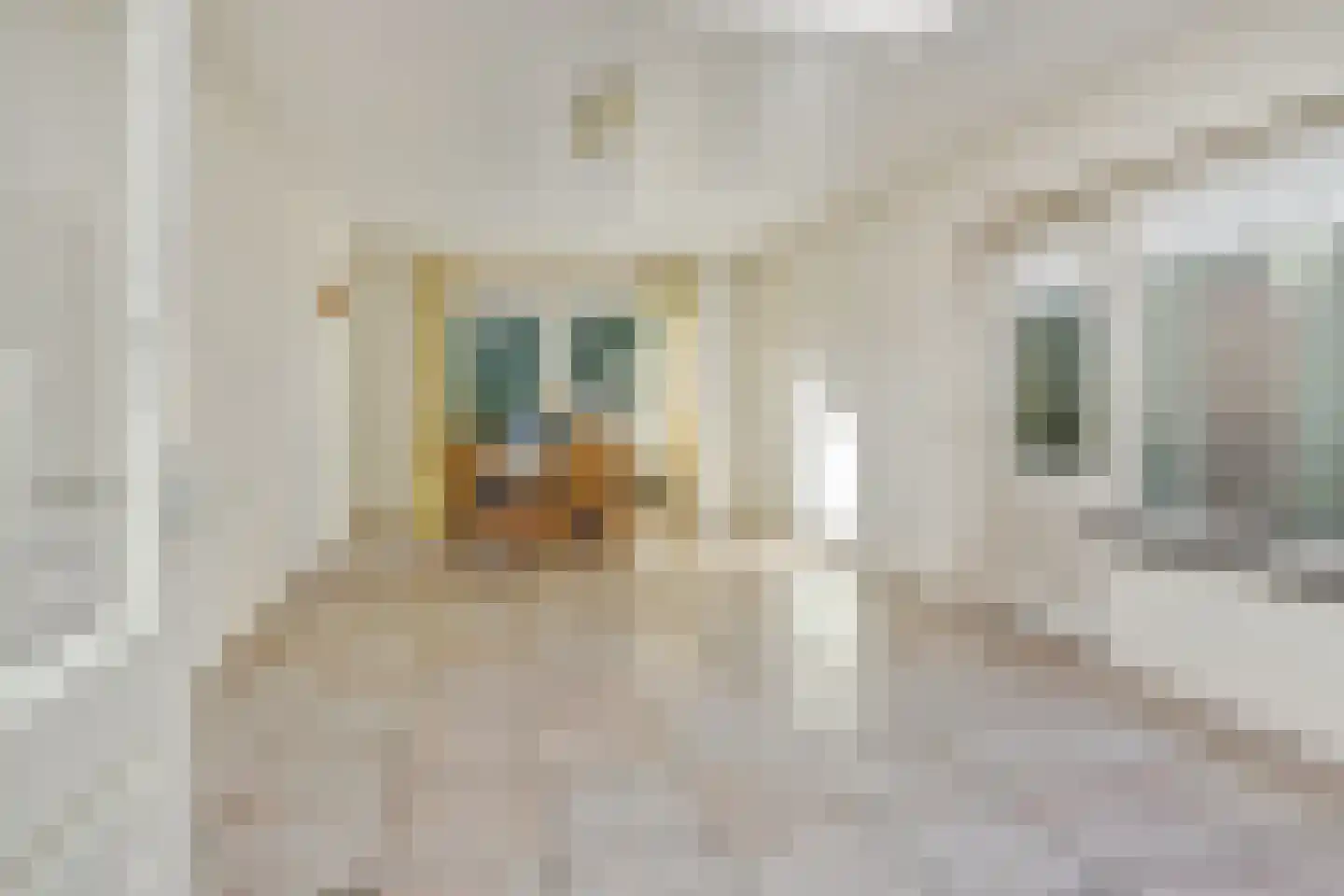 Zandbosweg 100 Deurne thumbnail 15
