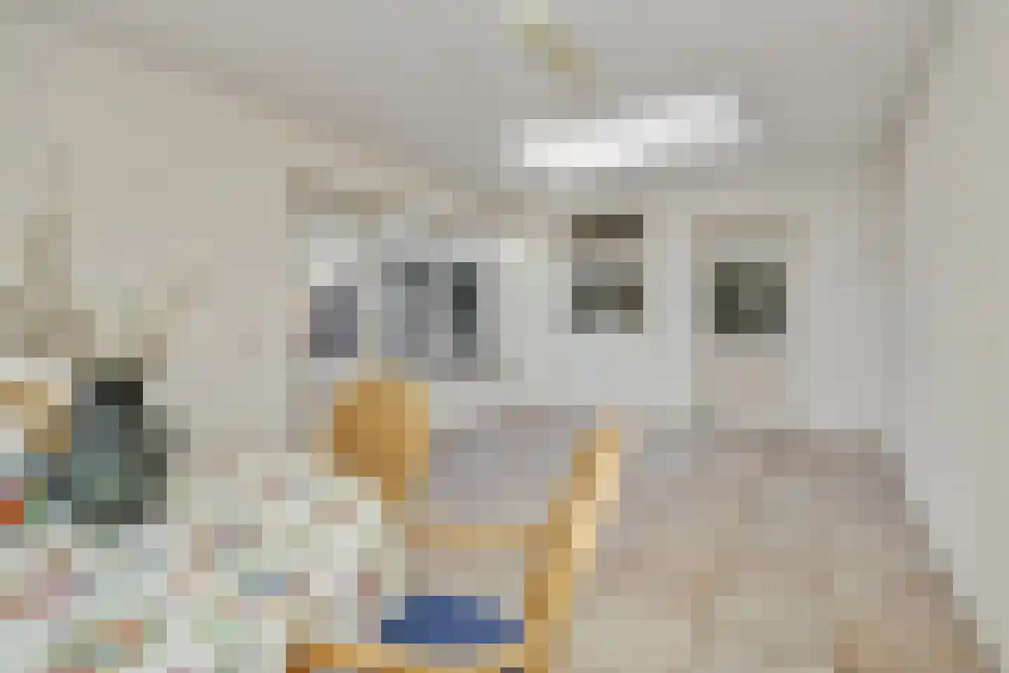 Zandbosweg 100 Deurne thumbnail 16