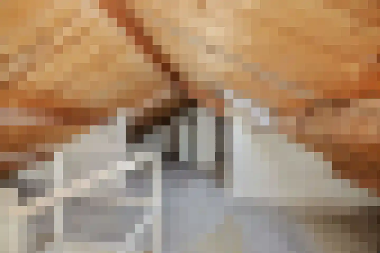 Zandbosweg 100 Deurne thumbnail 26