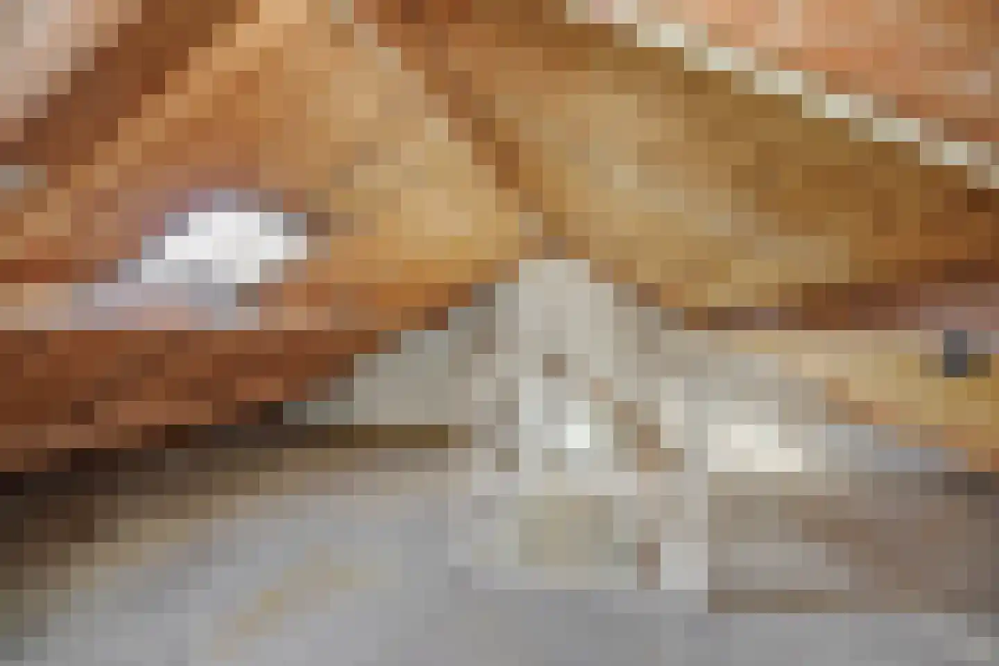 Zandbosweg 100 Deurne thumbnail 27